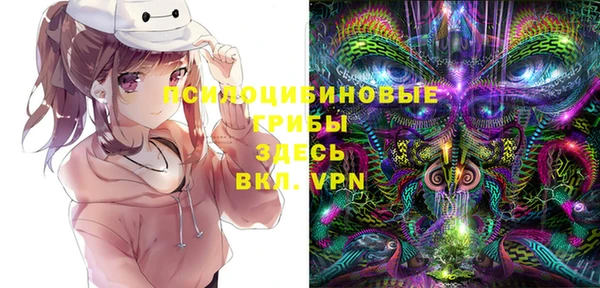 крисы Киренск