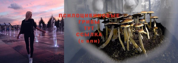 дмт Киреевск