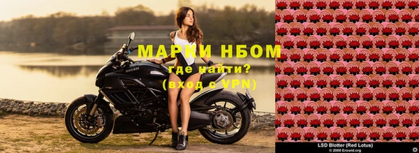 ALPHA PVP Кинешма