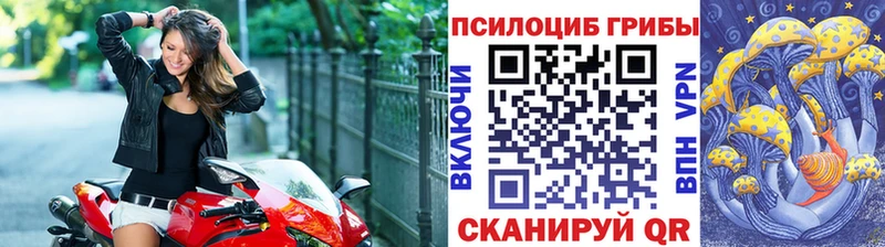 Псилоцибиновые грибы ЛСД  Купить где  Ярославль 